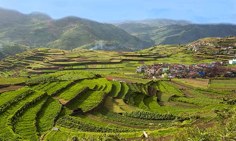 Assam Tour Itinerary